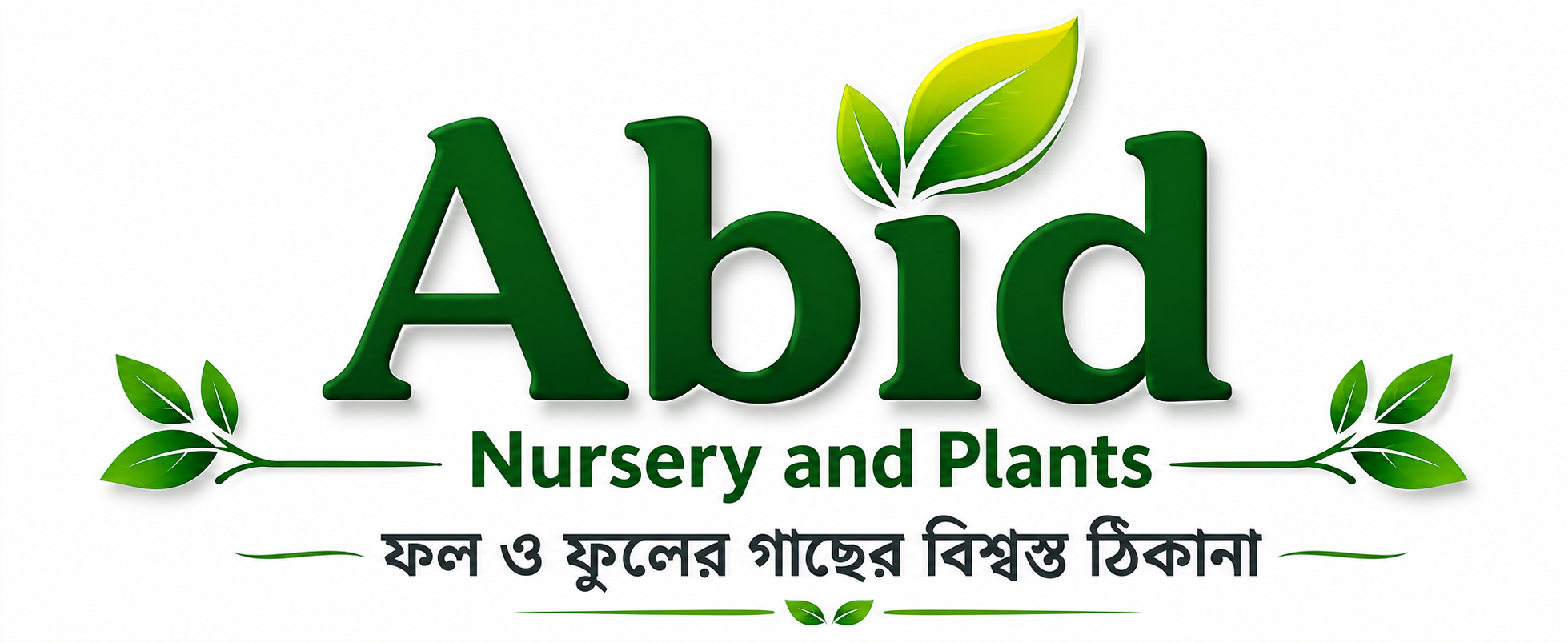 Abid Nursery and plants